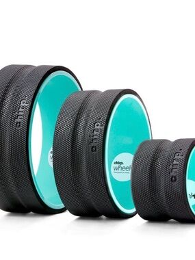 Chirp Wheel Therapeutic Massage Roller - Aqua